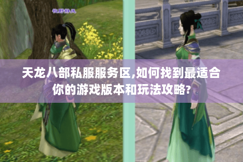 天龙八部私服服务区,如何找到最适合你的游戏版本和玩法攻略? 天龙八部私服服务区,如何找到最适合你的游戏版本和玩法攻略?