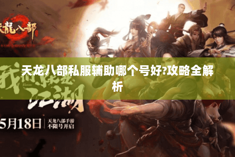 天龙八部私服辅助哪个号好?攻略全解析 天龙八部私服辅助哪个号好?攻略全解析