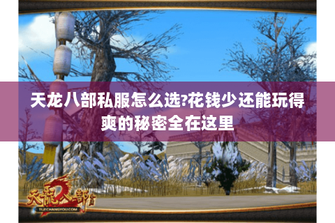 天龙八部私服怎么选?花钱少还能玩得爽的秘密全在这里 天龙八部私服怎么选?花钱少还能玩得爽的秘密全在这里