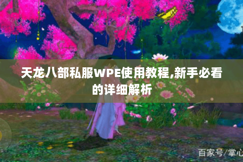 天龙八部私服WPE使用教程,新手必看的详细解析 天龙八部私服WPE使用教程,新手必看的详细解析