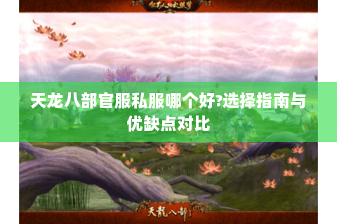 天龙八部官服私服哪个好?选择指南与优缺点对比 天龙八部官服私服哪个好?选择指南与优缺点对比