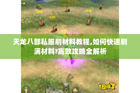 天龙八部私服刷材料教程,如何快速刷满材料?高效攻略全解析 天龙八部私服刷材料教程,如何快速刷满材料?高效攻略全解析