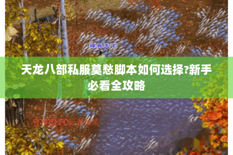 天龙八部私服莫愁脚本如何选择?新手必看全攻略 天龙八部私服莫愁脚本如何选择?新手必看全攻略