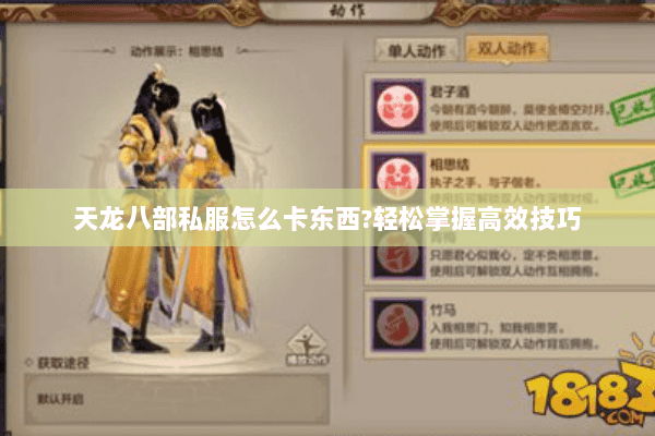 天龙八部私服怎么卡东西?轻松掌握高效技巧 天龙八部私服怎么卡东西?轻松掌握高效技巧