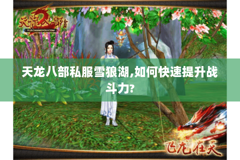 天龙八部私服雪狼湖,如何快速提升战斗力? 天龙八部私服雪狼湖,如何快速提升战斗力?