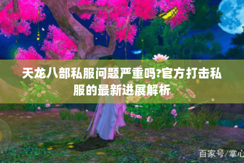 天龙八部私服问题严重吗?官方打击私服的最新进展解析 天龙八部私服问题严重吗?官方打击私服的最新进展解析