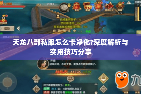 天龙八部私服怎么卡净化?深度解析与实用技巧分享 天龙八部私服怎么卡净化?深度解析与实用技巧分享