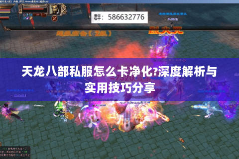 天龙八部私服怎么卡净化?深度解析与实用技巧分享 天龙八部私服怎么卡净化?深度解析与实用技巧分享