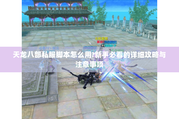 天龙八部私服脚本怎么用?新手必看的详细攻略与注意事项 天龙八部私服脚本怎么用?新手必看的详细攻略与注意事项