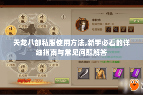 天龙八部私服使用方法,新手必看的详细指南与常见问题解答 天龙八部私服使用方法,新手必看的详细指南与常见问题解答