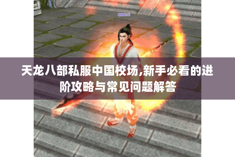 天龙八部私服中国校场,新手必看的进阶攻略与常见问题解答
