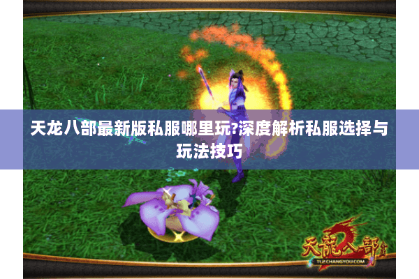 天龙八部最新版私服哪里玩?深度解析私服选择与玩法技巧 天龙八部最新版私服哪里玩?深度解析私服选择与玩法技巧