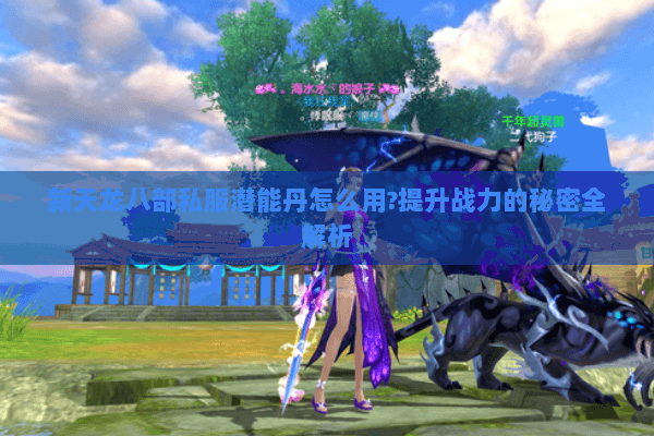 新天龙八部私服潜能丹怎么用?提升战力的秘密全解析 新天龙八部私服潜能丹怎么用?提升战力的秘密全解析