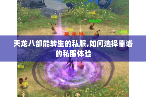天龙八部能转生的私服,如何选择靠谱的私服体验 天龙八部能转生的私服,如何选择靠谱的私服体验
