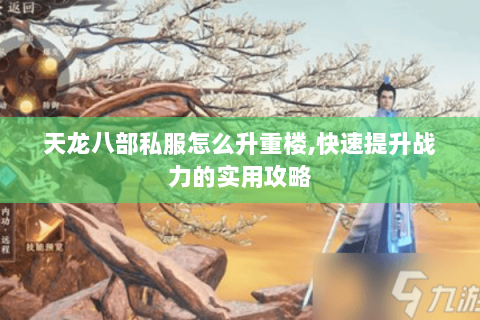 天龙八部私服怎么升重楼,快速提升战力的实用攻略 天龙八部私服怎么升重楼,快速提升战力的实用攻略