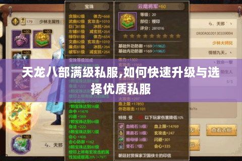 天龙八部满级私服,如何快速升级与选择优质私服 天龙八部满级私服,如何快速升级与选择优质私服