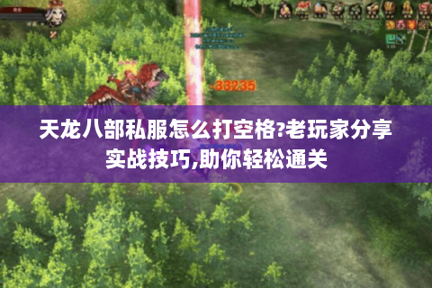 天龙八部私服怎么打空格?老玩家分享实战技巧,助你轻松通关 天龙八部私服怎么打空格?老玩家分享实战技巧,助你轻松通关