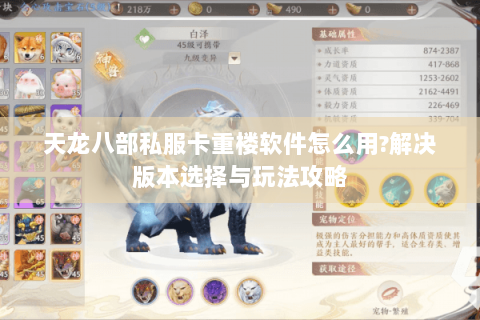 天龙八部私服卡重楼软件怎么用?解决版本选择与玩法攻略