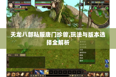 天龙八部私服唐门珍兽,玩法与版本选择全解析 天龙八部私服唐门珍兽,玩法与版本选择全解析