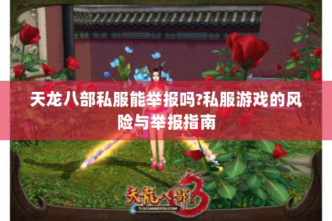 天龙八部私服能举报吗?私服游戏的风险与举报指南 天龙八部私服能举报吗?私服游戏的风险与举报指南