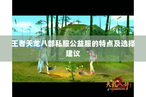 王者天龙八部私服公益服的特点及选择建议