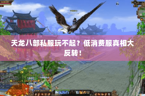 天龙八部私服玩不起？低消费服真相大反转！