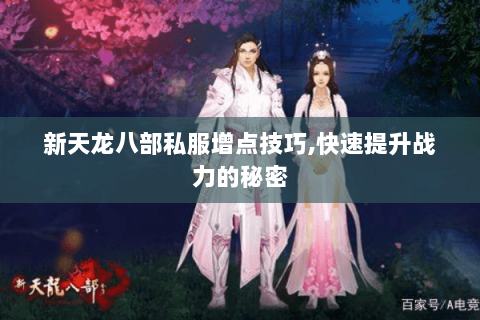 新天龙八部私服增点技巧,快速提升战力的秘密 新天龙八部私服增点技巧,快速提升战力的秘密