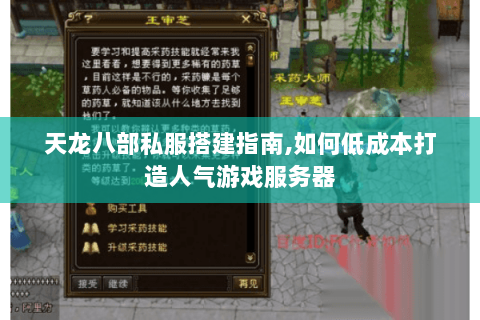 天龙八部私服搭建指南,如何低成本打造人气游戏服务器