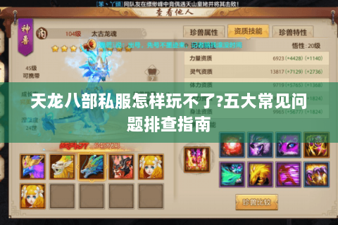 天龙八部私服怎样玩不了?五大常见问题排查指南 天龙八部私服怎样玩不了?五大常见问题排查指南