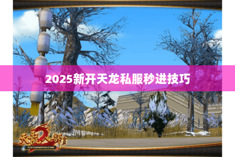 2025新开天龙私服秒进技巧 2025新开天龙私服秒进技巧