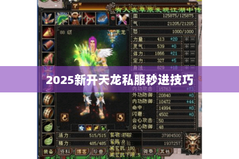 2025新开天龙私服秒进技巧 2025新开天龙私服秒进技巧