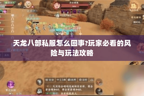 天龙八部私服怎么回事?玩家必看的风险与玩法攻略