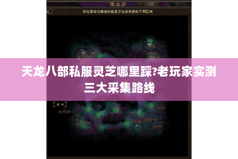 天龙八部私服灵芝哪里踩?老玩家实测三大采集路线 天龙八部私服灵芝哪里踩?老玩家实测三大采集路线