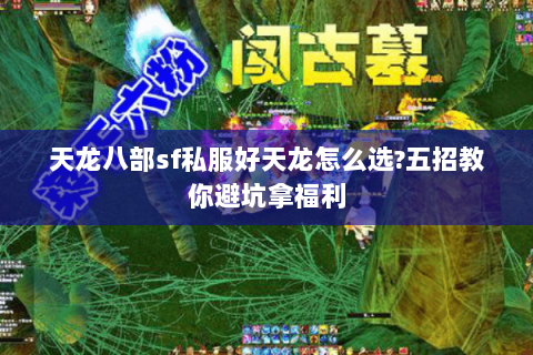 天龙八部sf私服好天龙怎么选?五招教你避坑拿福利