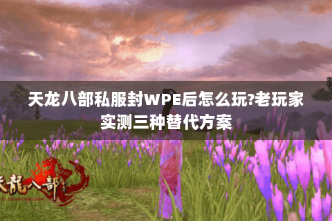 天龙八部私服封WPE后怎么玩?老玩家实测三种替代方案 天龙八部私服封WPE后怎么玩?老玩家实测三种替代方案