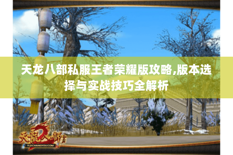 天龙八部私服王者荣耀版攻略,版本选择与实战技巧全解析 天龙八部私服王者荣耀版攻略,版本选择与实战技巧全解析