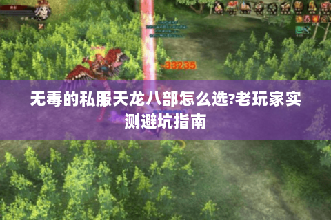 无毒的私服天龙八部怎么选?老玩家实测避坑指南 无毒的私服天龙八部怎么选?老玩家实测避坑指南