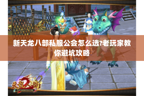 新天龙八部私服公会怎么选?老玩家教你避坑攻略 新天龙八部私服公会怎么选?老玩家教你避坑攻略