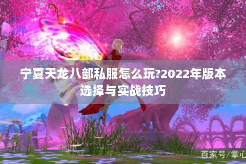 宁夏天龙八部私服怎么玩?2022年版本选择与实战技巧 宁夏天龙八部私服怎么玩?2022年版本选择与实战技巧
