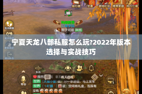 宁夏天龙八部私服怎么玩?2022年版本选择与实战技巧 宁夏天龙八部私服怎么玩?2022年版本选择与实战技巧