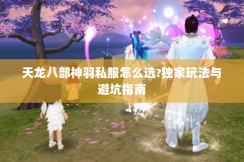 天龙八部神羽私服怎么选?独家玩法与避坑指南 天龙八部神羽私服怎么选?独家玩法与避坑指南