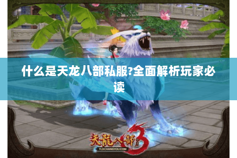 什么是天龙八部私服?全面解析玩家必读 什么是天龙八部私服?全面解析玩家必读