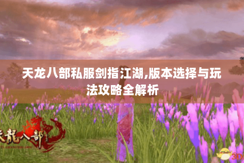 天龙八部私服剑指江湖,版本选择与玩法攻略全解析