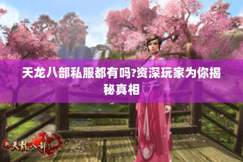 天龙八部私服都有吗?资深玩家为你揭秘真相 天龙八部私服都有吗?资深玩家为你揭秘真相