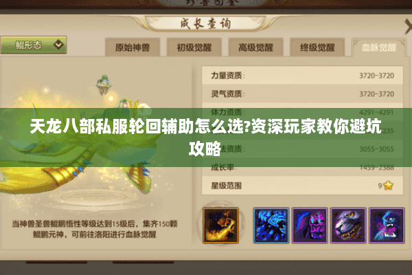 天龙八部私服轮回辅助怎么选?资深玩家教你避坑攻略 天龙八部私服轮回辅助怎么选?资深玩家教你避坑攻略