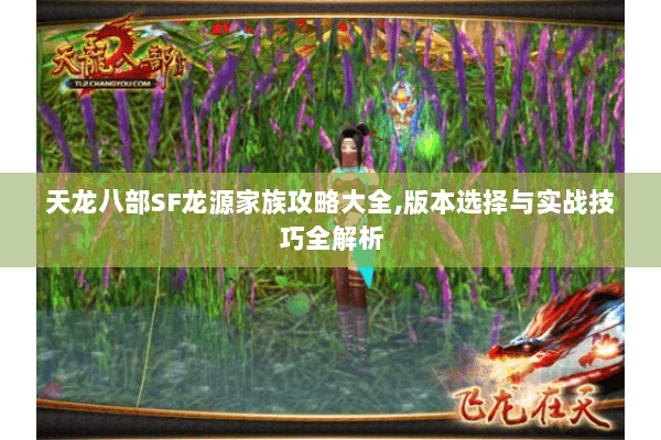 天龙八部SF龙源家族攻略大全,版本选择与实战技巧全解析 天龙八部SF龙源家族攻略大全,版本选择与实战技巧全解析