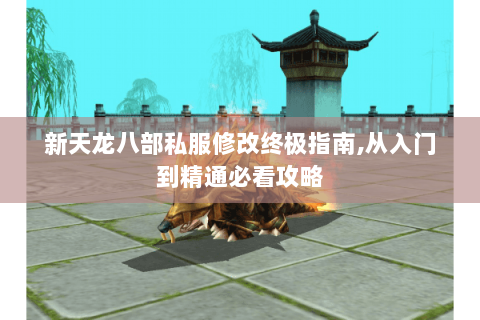 新天龙八部私服修改终极指南,从入门到精通必看攻略 新天龙八部私服修改终极指南,从入门到精通必看攻略