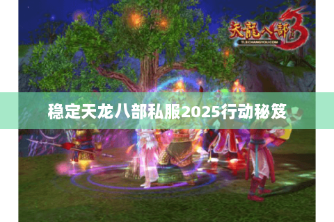 稳定天龙八部私服2025行动秘笈 稳定天龙八部私服2025行动秘笈
