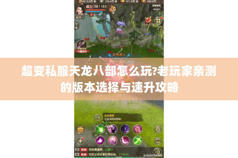超变私服天龙八部怎么玩?老玩家亲测的版本选择与速升攻略 超变私服天龙八部怎么玩?老玩家亲测的版本选择与速升攻略
