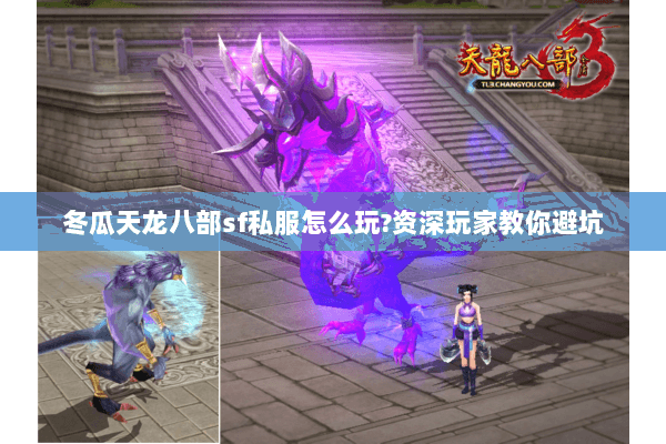 冬瓜天龙八部sf私服怎么玩?资深玩家教你避坑